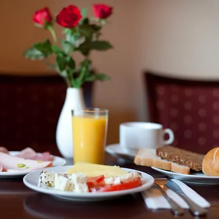 Hotel Orion 3*